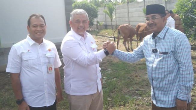 Tingkatkan Kesejahteraan Masyarakat, SKK Migas - PetroChina Bantu 29 Sapi untuk Kelompok Tani di Tanjabbar